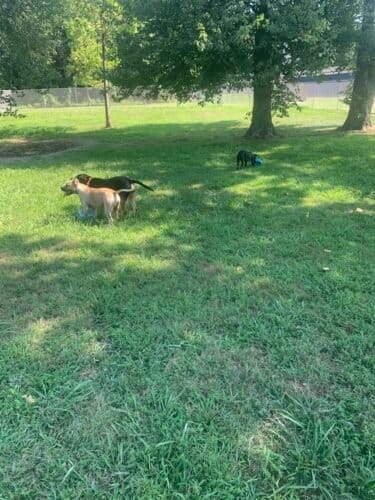 AC9h4npc9c3rDL6msgMMWFfZn6873d3KRv3LY4B0HSTLXPGpVrpltVWtJKKZCs7wWFOOmjuo9DYQiJZvdmIoZf3hjSopMM535aeleTUHqzCeBxO3PwNBytCSWlPJPxwDeheP6XfQrxppw1600 h1000 k no