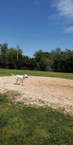 AC9h4npcqDD rvbikPaoWkkm28BNKrfcdDn  bJXdG UZ AQuYGLFMbJeLFQcb1N0vfqBn1j4GkNYfdO2ZMx7QKrCcNOuV7edc8hI86yfLrm8AycemQexgWTtURyOi6ckWbybCijYhvxrww1600 h1000 k no