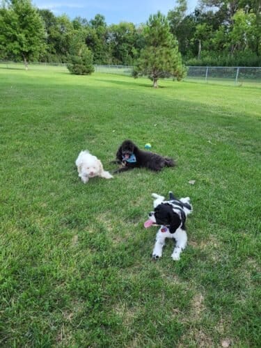 AC9h4npcsb9pwxaYscRSwAZV7SZU8AQ7oAOYwY5rKzzFjzF9 JLHB8zO2Bue0paxQsdizFFwNjh9tLME9MYaCYbUvGeKTUyg hY038MWLaIJxNzX2Pf8wxgIuVElblHOCbff78v5e5aWw1600 h1000 k no