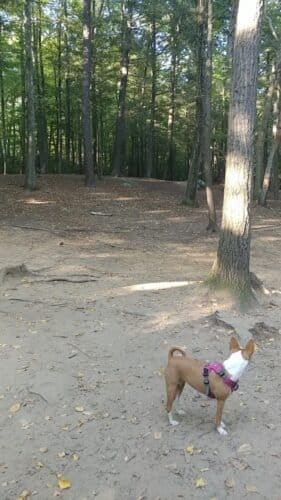 AC9h4npdBTm3v7arfkjfph yvR2GAgKW8dhv4u5O2wQ2ja3ha6f8q2sxjeC5y3K29zp5rL2hJ4wiYex Shu2FCg176ptuR0iLl69GT2hvhqlaeUB9svrlvltXVo ORobtTvO hxXepA5dww1600 h1000 k no