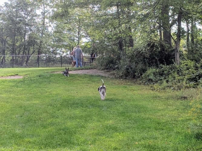 AC9h4npdF0eW4FClahjejbnD368PEiXR06Va zWU R Vx5eiDxFAWVSNjy7R2jqg x7zLDut767HjDs4vE8L1oYlRGU9Pvs2FGmj5yxuQrFjEGFTFtJ2seFrKhTO3gJJh 4SawLYPwyKw1600 h1000 k no