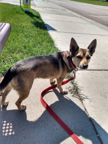 AC9h4npdF6 MlgN2YaYCSNQnfViUnqp8rH0GVbccib9fBKYOC2i35QOTmGzmFkSqDR1o49gWPqTt7USmgi9UvZpn7XFEA34hYbEpR0zBCYYu8gKN6WYjyKLnhgBegwfWAaf76TKmcXsw1600 h1000 k no