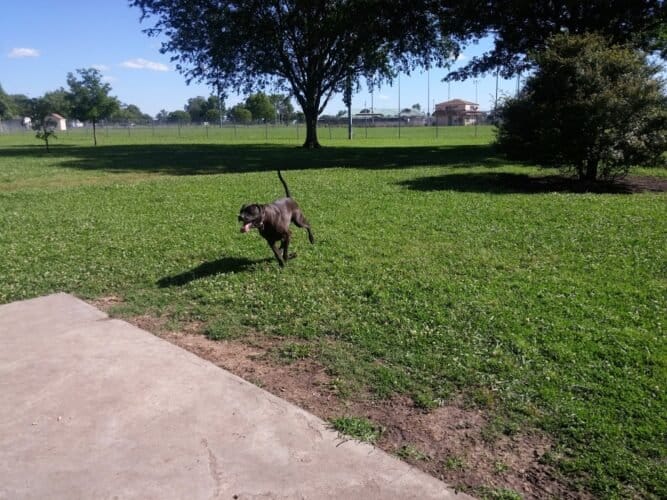 AC9h4npdHhVgVx8wxcfSrPdmB77MBO7R9DPjrYEEA55V 3HveCG0L9clK3IQBsHfJ9Y tVYvWlbmvqcxc2gyJmJ0PHZiLWCYE80wUIadNYse72NYAkuXs6kEGezXVLxcd 2tjMRyUgy1w1600 h1000 k no