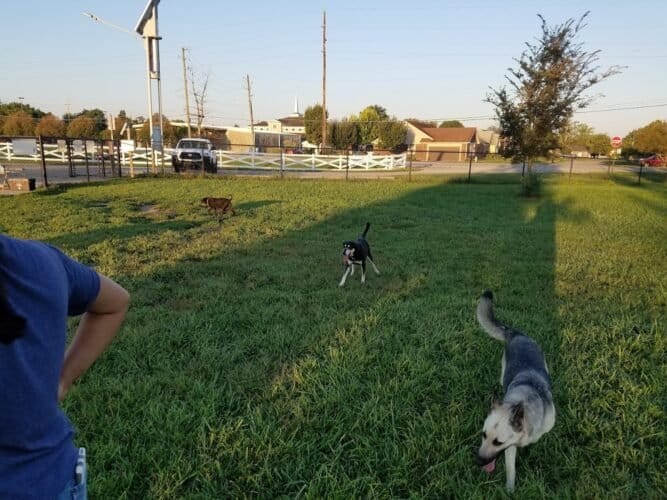 AC9h4npdSViMXD2KV64iAhjlrGFHayxMntMejkS5OzkxIbakBZ0JWFDnu 061YWZjlrMiX4 z7iTv74Iyk5v6Jd1  ZcNFSKYVDhYssS8yT1wKdepg xSNs5FFxgMkbrQrqH 9nccZ1 tQw1600 h1000 k no