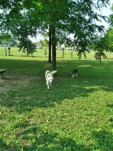 AC9h4npdWQSZpxfNdzFCJImECQaNfDuGGxByCCEIwwOPwTyvn9W3D4JSzfuM2eky0T0KFjtAhFYdoBjBjp0qL7ib3 KI7NgUc4VrgR1t1Zww1600 h1000 k no