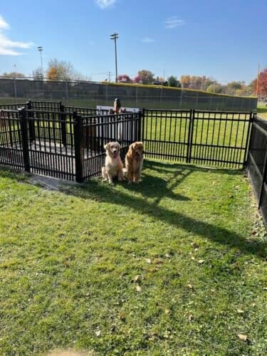 AC9h4npdhg4qZRcZEGYOrU0EyrB8SAE97u9G5yAT3OvioUG7hdFFeaoMTrdLHveHI uz30OzvIhdCuNTVnlhrzGmAM8COM12uEplF3YmSx2HiZLBUEEZd2uOKZlXFHg 6xG8Hd3ND6auw1600 h1000 k no