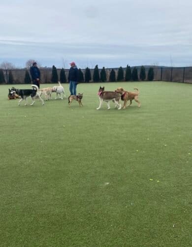 AC9h4npdjFrvH6HrRGTDuS1Ea lJ1NatoOXMFfwCr5mEJbQ9vVcD2Gq9GTnzoFSIfnKNIX6sVuBuDhpQuNkLUs6cR7OnTf8s0JXARBM8zmg8gXdn91z FlgEmVKAn7WexGzfbNxS79SRw1600 h1000 k no