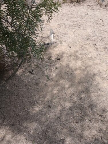 AC9h4npdjHbnk8XYzLOtaE4LWT6DPndSkbZ MX0hzA8kcESk9vLpehuc3RMehij 9xfePFzk7xQN1nNzrNR7JchIovBnNlE lhH 8COOIgw1600 h1000 k no