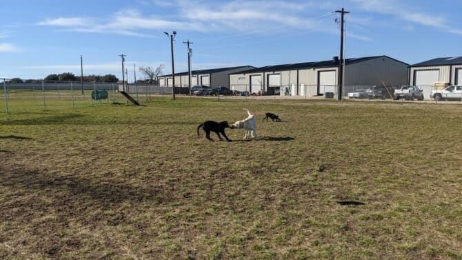 AC9h4npdsSSireN2wuI4FtnJRcCaPMs1D y ZcIc0sUjIA9t2JJQRqvM642lb oiG0wSfG xmJy8TNn9XA31qMBAYZaPLheH3Ar5rVoIm1Wq7P kfhVwS80bE2Io0uf8OjB GU05183Kw1600 h1000 k no