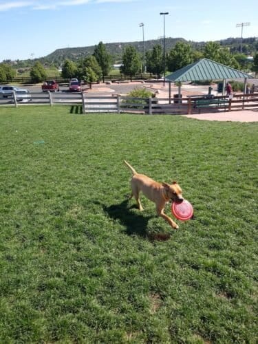 AC9h4npe8rdwDU5qedqIQgC74IGjb cHBuAAKgB5ystdNN63UmFf2nGyUjxuVjcKtYJhcXtgkLzrg JszA8 He8RviAniZgQZ0wUCOTAItyEEqzAgfphzJ17 R9T8buEG4WdYohtpRIw1600 h1000 k no