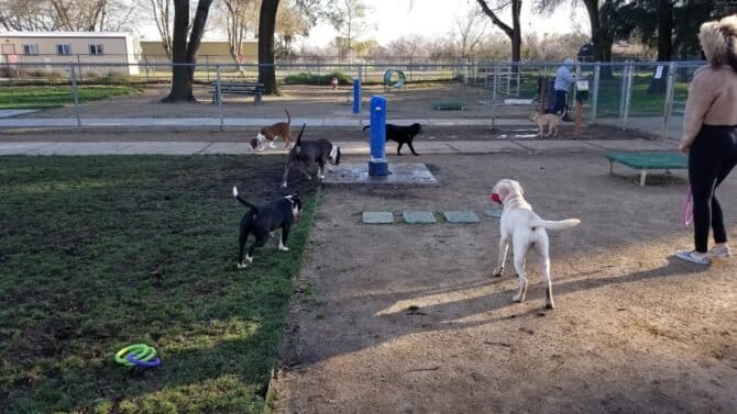 AC9h4npeM SRd XkxofDvvCIID8zWH39 QpUFlwCs 7OhCdFspxDgTRgfPOXKvYpjYuQeJB z0x268tfJRN6l3GdWTnQ FdWJTX14xgSFpis072OWnZx3719ny7IUqdkhIkcc7P7otgqw1600 h1000 k no