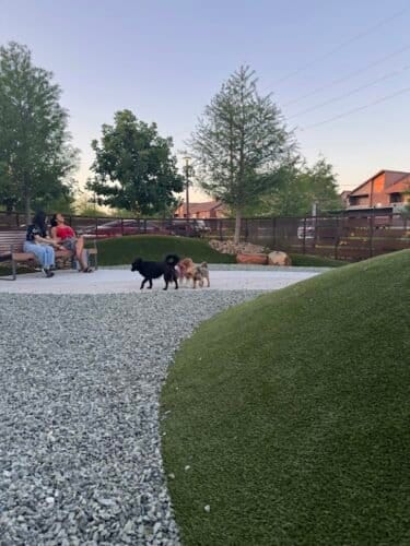 AC9h4npeNAya8v2VOLB9mSyuT1rkN9jPkLWN3G4VhTyvShVFvCFcDou9V3tIjq75cp3dTPsr5PuvW8PlDoaq7Vup9oLjMePTEX6Pn0UbVrqBv49RoKyeYL5Z9uaVBsef9fqzP62DOktzkww1600 h1000 k no