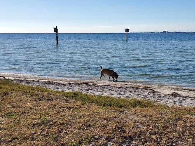 AC9h4npeTHbTuqFKPf5tUW3ShZqsw4QcHhCeGu1 Z7fomsqOnedcDRYj9JcreKDfWYgTQnsXqOFeZQkLS zIce6chm3Qr5 pvsaeTQfg4bn7om I6 C3GSaoEUsqmQq Cwo661BFJL z1gw1600 h1000 k no