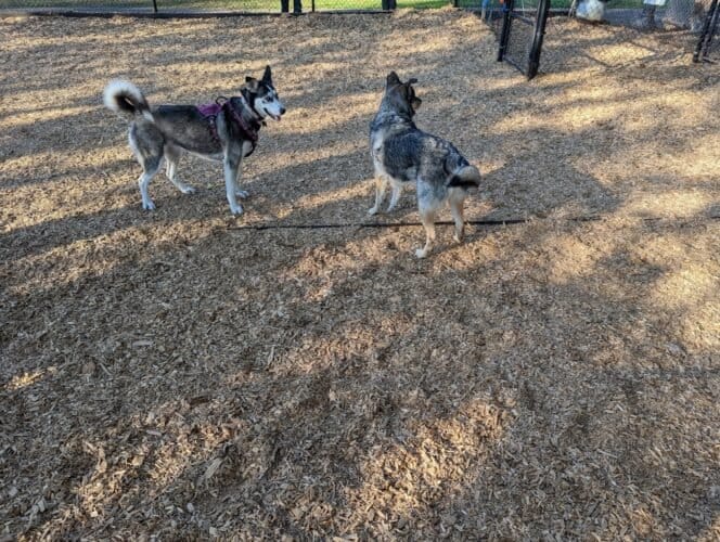 AC9h4npeTsAcr1k51Kik8l3ppbDZcGH3e9A9U0BIaWKLLySl3rG5l9tTpOGNFIy7ioTI4Qkmdsx2T rNumJ6HlLJZ00DJKUzw0Cz M 9SIfKcCXXyO29HEieEBJ43oKU2sakXekdZJeCw1600 h1000 k no