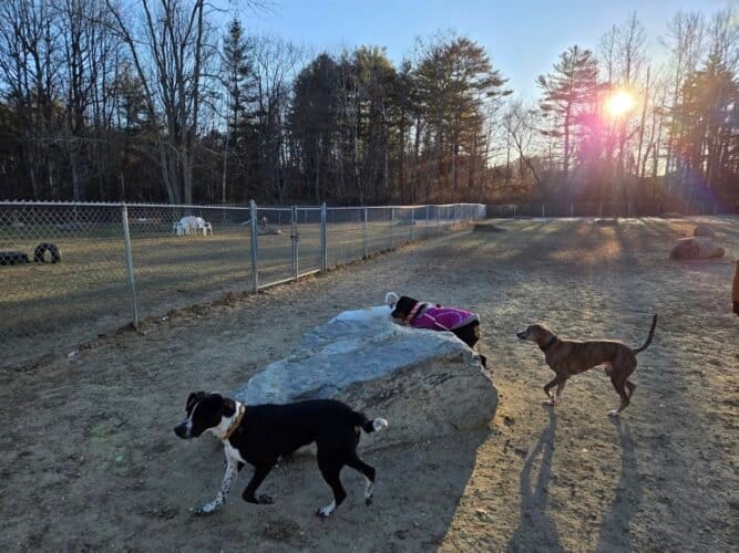 AC9h4npeWeyzdBWrP2U1hWM5NGlG0gxAZ 4Tx0r6W3EQI2A2U65J0ehsQRkTIBp2CdaEf   apcinn4PTaHn1jh2ySrcN27ht5MpBbqWBUTOE0GD08VAgA5gHdTpCuNdmN2npeeHqTC3w1600 h1000 k no