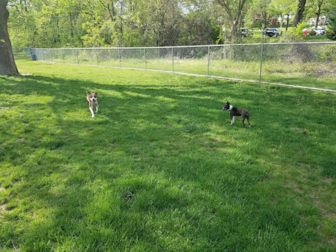 AC9h4npeZo4GC4LLnHcyRnFW4g9Wnw9QXw9t7CPrffup7UPtH0vTfwbiVVa 7CTQ0PsLgDaVRzPk4zDbjUE EtghDw6f 3DV a45 6mMYBXu2u DlS 2m0bpGmI1R3V3ir9Qc Wfbe5nw1600 h1000 k no