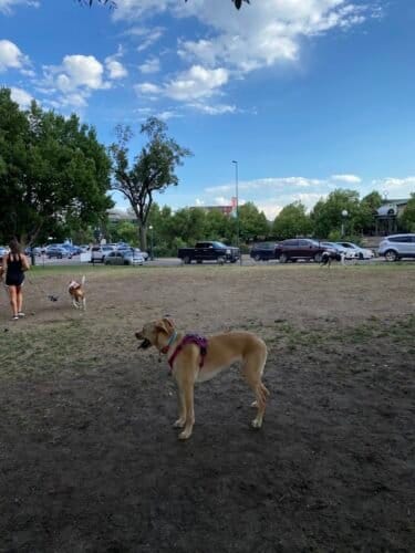 AC9h4npejRJg599Ip5gRlu7UkRxMSaH9iyEva2PGEExAP9ZzUI47tkfj6S3 tW449b42yvKlxh  YvsK jtnHEWtplGH8HqKoLl9p6qkcrARI2WqMtDPp51lCTB1C9X5K 60HEq0TZWOw1600 h1000 k no