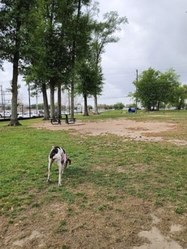 AC9h4npeoyo76pqWMm78KonI0imys9GP2ERR6n UyLnUHp4cJSfPklOdCWxiWy9o5gCNgeB4 sLL3cFMTYj0RZgLUNENzYnW5bJFlwsH6U01LNlrYqWhyD ncauF 0 KOL3jTJjWyADvw1600 h1000 k no