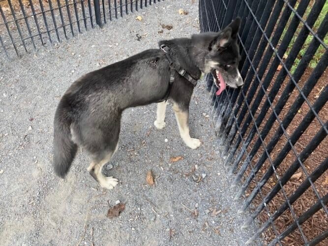 AC9h4npez07O1QLcVSAcqQqzlDrdFv I4gvhbn0xSUv XbCNLXgmgjc62XisK jiRZZvnzoeRJ5Q7AoOj7pAUkzY5CODlr30mrE1Tt8sZk8qcFRZvyfaaLgjroHGOGwlKSRxVWhd16u7w1600 h1000 k no