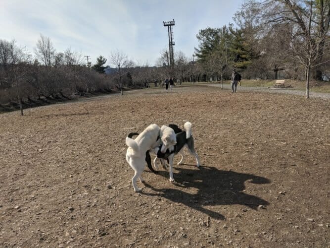 AC9h4npf01IYJdBhdg8A46zaPlkREoyQ38n5NGKaQHeOiS7vNh6k9E2WgLXbxqpeujrrVmUVxfBvvLUm8gvps4R8lvjG36ArQOT3 BwSKPzEifLC8fe8QwLohPfB 5v j fDr2GpMxYBBww1600 h1000 k no