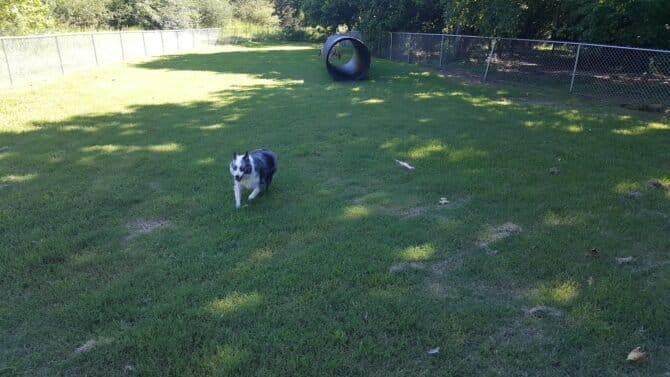 AC9h4npf3HiwrrvbizbIKzqOK5NH6nFRZPivw lEhSZ2XSo KtA1sTikSDx9YL98SmdQ4AxjSlbs I4uEnl54M5uUfKm9cZrH5YDy4UAOtnQJYpyDwkR5xxhGpq u8RZ4fgY1y6N6Dcw1600 h1000 k no