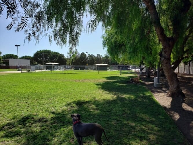 AC9h4npf4Nc2VRPMsesE KPt3bQ k0Uf65rrX14wRgko1Qaybj1FHMXCAuQKcvRKvK57 Q9WiqOXhl7KrWUP73Oz8XRKckY7OpUBgWXhD0GcKhInPi5e3smLcZgY1iaAvjQ2uhmPUMLMugw1600 h1000 k no