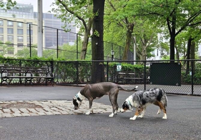 AC9h4npf4ODWCaKNa7BYtaNF5rSQWrWbcjPZLh7VOk b93wuYVk9pNCqbyAlapV8W0tHq6n5w06lFVRInqhM4HGJckChZcVrJGHvtS1KaSnMOxZK80ykLXJmBeg5C6yfxlCjeqiv1nyPIErsAQsw1600 h1000 k no