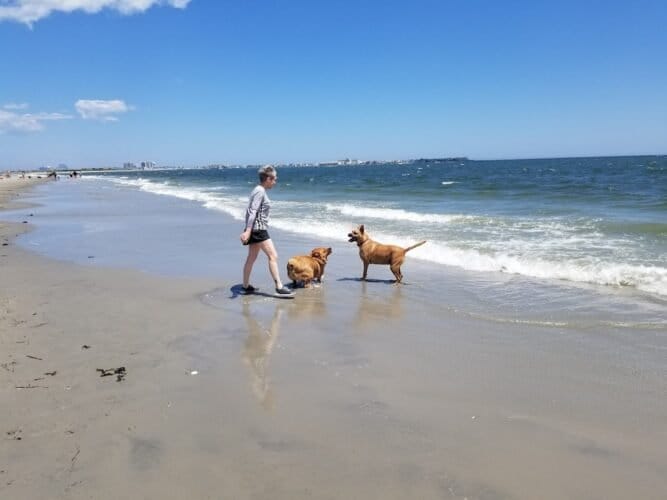 AC9h4npf8jSwQ9bI2 qm1G1R7hpglNSEK23DDVzBk7Eu3CvlO9L1h8N3s2roUwQK1 iVaPUXzwa8 osvcrFp7ynYDrE9n9L6CG 9HiNgNCvGQK32qlcXnZB2Z71CS8ZKufInEhlLeoCYHQw1600 h1000 k no