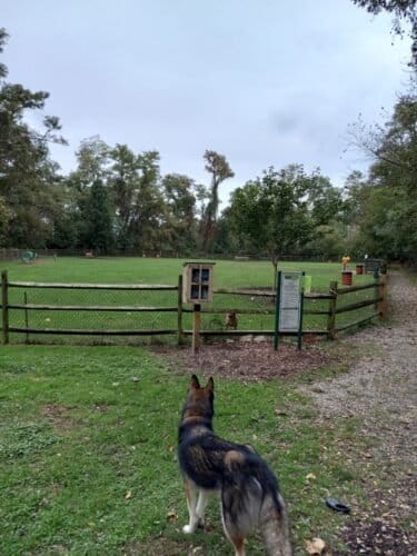 AC9h4npfOIFxcifczpI0yoWdtZWZPiX27JTz7xw0PkVSqtp2Mj80W7 9MdqDW5R6Qm0ULHTuNtfSuVT9Bm zAy6QT9CXfveRLmN4PCCX4ww1600 h1000 k no