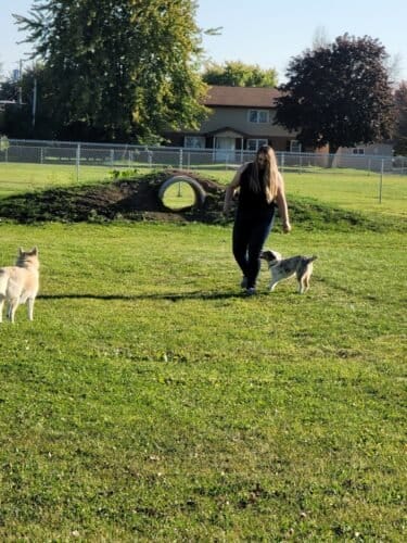 AC9h4npfPJGT3 Cr530G53E5QERnHoIIzi3IL0tCY1vyy41yv0NAqrci9Q8DSPq1ejg7Hv  Dhf4Q0R2HsKKotwKqtNL9Hgptlnk8eevCi 99erNBMVwkFzo60 N kE IjR7tqZ7w48w1600 h1000 k no