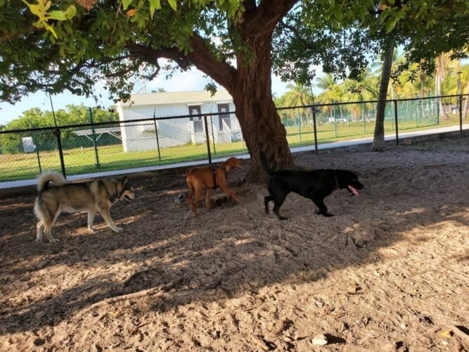 AC9h4npfeqP9D6 QctVXJ SvpDdsdFhBdVFoWBODsqgCTcctbJmueqeMnyiRHgl1Eeh8hXKAGAoQ tIGb9u2r1cJjbfEOQHx6TmIyirjNQg2F7IVA5 jJ5iehanwET4 CQkDLNnJseCv9Aw1600 h1000 k no