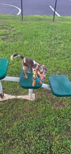 AC9h4npfoDDE1v 4 bCZhN4Ij2XN9DYGmVhJuHOBD86CwFvXa7ivbR4lE egYoV8IGzJw gPoMPlbdhXQl0nb6GTHAusvSEW08FXdp3waTW Z7LdEmsUg4wH ODG2MW0UmHK7L4c96HQaxdwHJ0w1600 h1000 k no