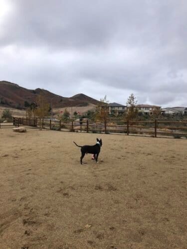 AC9h4npfuRfv0vN4RZhb 46cNf59O4QCb qlIE KgkVC9fpYJ wwhkt4Bk9ALbsyoskhuTqw087Q23wPleh28MixUzQJA6Ceaz3Rn ISIDbBQigm4ndOkFfE1 ezag06mLqnEwm0QbEw1600 h1000 k no