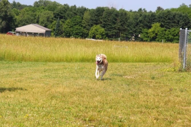 AC9h4npg 8NQAXxIyYorphytCa0QM4a19eZqnv3rY6Kkkg8sgQnwJKeSdZTBb2jSOhUfiV3tLmW8FYbRMoDU I30KR36qvfSsYeSFRK86u97dY ZviKfwIdSbWI1MCDbIKwNNZmHVKQw1600 h1000 k no