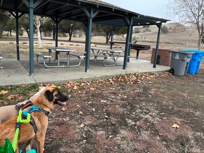 AC9h4npg GcMRFRob6uxEa6YzWeUwKGyToc6YUKmdSkeFDQfqD 4e97 7vnn3 rCDzAHfQmWS6SFae6KVZvKAgpTTmFYipCAbhwPT62PFc yKgZ99GU8dYdHbHKUcIqms4dyqJKTgElHww1600 h1000 k no