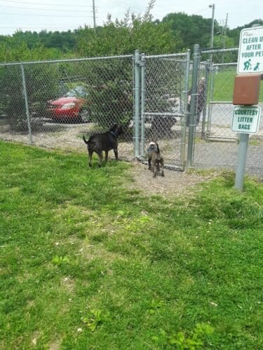 AC9h4npg4uOFx7dBXotJFVth1tOzA9RkQtwspOajfPRMPz2I2Qz3LAViNlGcCEXK4ydl ERCRwZi0zMymiCRT2v5D udwrwHEO5jFwC9lofxnoKExLBCQlODvTbbipwiJsw mhGDwOQw1600 h1000 k no