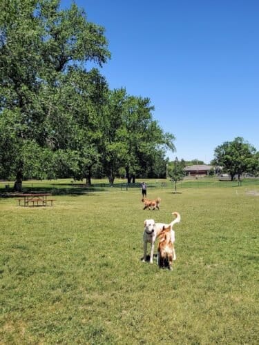 AC9h4npgE1pZhye3kmwDn81UpsbTNyniVt S4Sd17EE BglF2hYFBPIZEJsYQcavEty6AhFarv1Nuj70tbWq8DWCpBmIBs2xpnPXYBWiivpkpdtythHs5xlPeHaHXW3EI2bq7dbwCmv8rww1600 h1000 k no