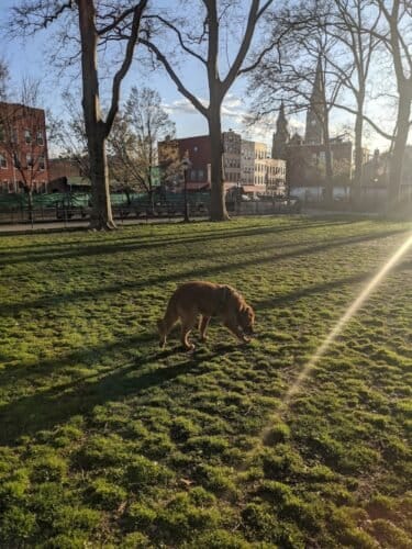 AC9h4npgFJn8 PLC8WK0v2JRhioe3J0n3f2Mbsl P4ol2gr YWjSpAY1VxctTFtSvOg07HA3nvnhtO5vB5maJnBrdIfDLrEWtUvq cR3G qRkEn3f8wq8nVDaIOr5rAA2NWj4yimjvfuFgw1600 h1000 k no