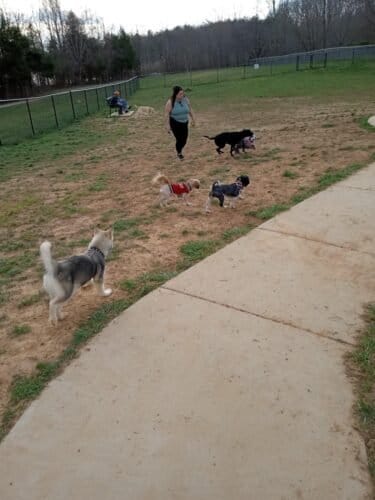 AC9h4npgMfJX5r1bKXZlRB8bKMtqkvH1m9Kw q0wOa outa095eoAT7YZ8AjtMn3fXPulL3p0q Gh7N Bl0or Fx TNH y YbnG6yQO0aSGVMMbsEB8ExbFBO67edcrEv4pySz2kQ6RgBQw1600 h1000 k no