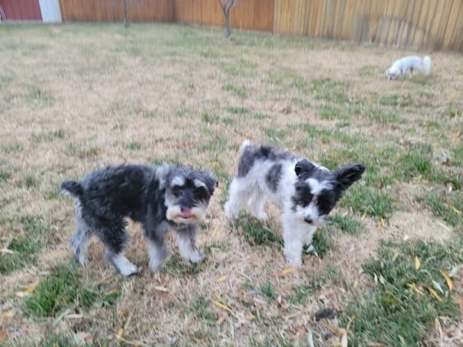 AC9h4npgc5KuxWwm  GvmSV1GJRMEA S9emoY3vg25Nrzwjgkl19BHO2gTRCajQIzkiZPnBdEEM2ISdGh6PumCMSeUAB8AJHW lF hphwH2 KClRZIOybz9zxT8OM9XoYSfDk8rFuOiXw1600 h1000 k no