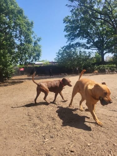 AC9h4npgd3LQ1VqSF4QM4K9KzXD2y8fECrLN m4EmH8Dz9 xjIaL4wHWJhEF3YQVoMbR3oaxIZHWazmwF9KvZIVemYuDjQMDcDzIwclqkE DdCbB34KbsFABjN9IKlLlEzk qnxxSzDMw1600 h1000 k no