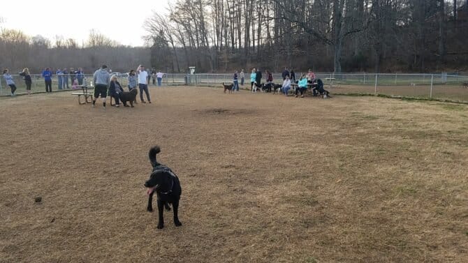 AC9h4npghCrUfD1ub untWYlFeEjBRSEWOcnuWag3mFefmOtofrKjX5MAUO3D0c FtQeUevcr7U fTqO9s0i0mrWou30b7D6ThirznoYR3R5DmLfSiXZhVxy8aso46X7Ap5kHfBxeNhSw1600 h1000 k no