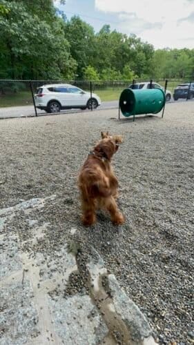 AC9h4npgr21ligUa6r9oLIYLjn9SktIzpwWKMVb3hd5Nr6ePJpiL WBeAbuTahe6bm3oqHr1EfxtMkkRIwPDJa6VjQYJOTkn1UL sB6BpEey12pVV1fQRJBrGuK c ePEMAL0I2RquLPdww1600 h1000 k no