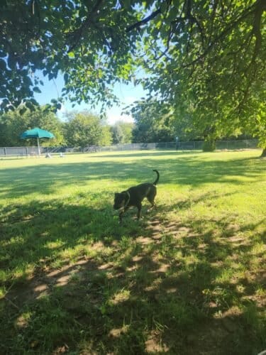 AC9h4npgytqNAkp3eCdjI6VSY9Qm13X9EH4wSbMHac2OYTD 1wQYKFfJb7DEK2rDp5wBLhSN5S5 bmroxEbXiTCUzaGp0WiUveLFgu 1b57CV9B9Qde0gAvsuUSNxIZ rWfsbEl n74 w1600 h1000 k no