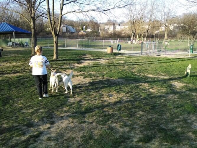 AC9h4nph1lsWAdaGMSs iK2jJDB2GJiUllkm 1kjKEgoYQabH4DEG2TGkwVEhUNozOa3cQ4KJxXB8zKbc1LRuFSms51RBiLVZhLrPHuOaAw1600 h1000 k no