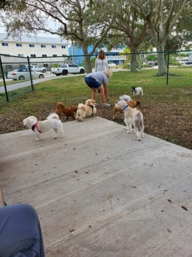 AC9h4nph37OIM0DekCgRnhUhjKuLsr3Cl8TCJwxGb4WDrX1Q3Jr8C0IhLU6uoKTEXmM8C7qJvi1EfrmUR kd4h7Omzr81cqDnVGyADRZcstOr6npT8qkLsgc2mzhOee685PHsoiT0Ox1w1600 h1000 k no