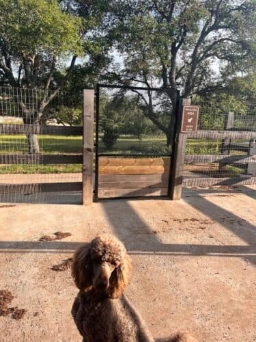 AC9h4nph5ipUwK95E5GOQ9iV5my dqytzwCzNl5NKzQC4cOhKGVaJHqqeBkSJogVdmezBi0leVb5EmTV7DSayZMFgz07LYke44tk9zVHxfg8L7iM1DYSe2EdrEtVg9956Nkj7ADOCRlrw1600 h1000 k no