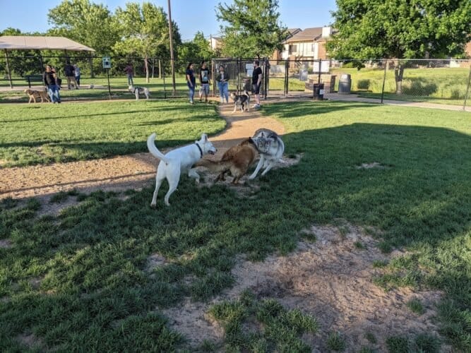 AC9h4nphE Se Yik5lMEKu3MQsk7U8uFQs1wId03LPpnxKxBMo 8wDyLoJVjLdXtJ1kSMYMfz2WyPbCwoWnLnUJn4bzSd 9JaovAykLiICOK ljA9Fz4awd35iiDFNqOgbrqZka0XeI9Eww1600 h1000 k no