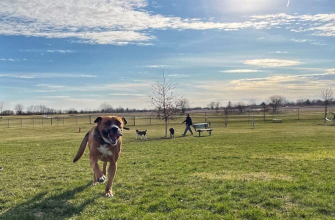 AC9h4nphK DV84O1b1LM2MRw0p9 5 J2RxUFt2ed hOhJAX9XAVmA9yvxnBS im6CZPKq5amvNT4zxydua2TmDJ8dgYnTCgJvvFa LAXbww1600 h1000 k no