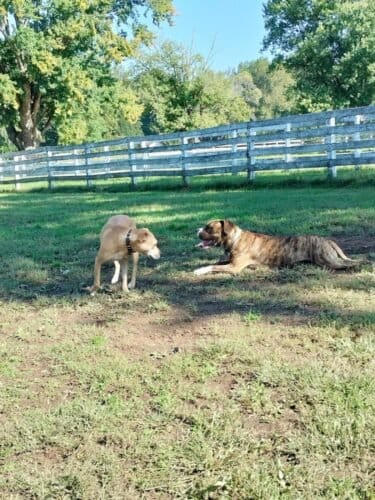 AC9h4nphP1eFQyE81Teys2Y9mAmPxoSz Ye3WYcMEHUEeTRSzQLU0vRthBxVWqb D5Bxvr3INnFB G5 o04W4 Lf5oCJyiHDRLHtU0IEIj6mZ1whRyMFCtplShtCTcBjV20 a68gEi2bQww1600 h1000 k no